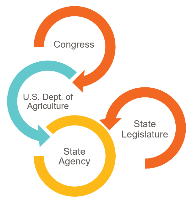 Diagram showing the levels of policy creation and implementation