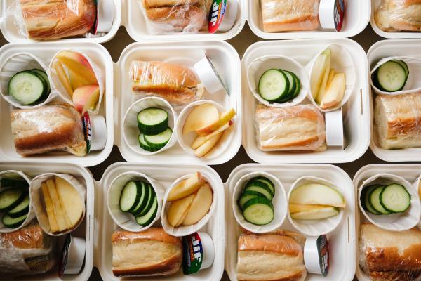 Rows of white Styrofoam boxes lined up with a sub sandwich, cucumbers and apple slices.